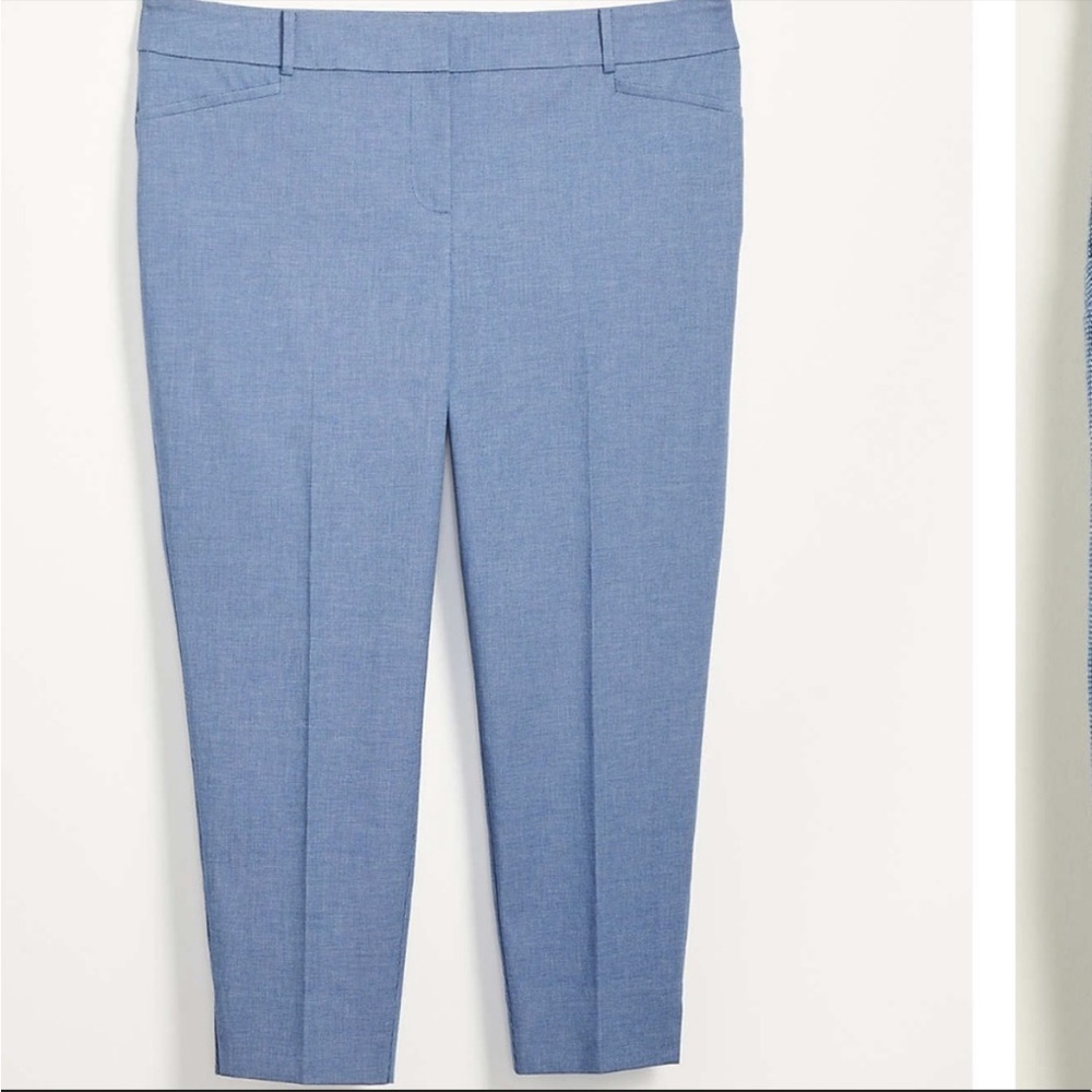 NWOT Loft Plus Riviera Dress Pant